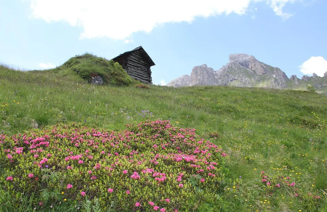 Pensione Arnica-1